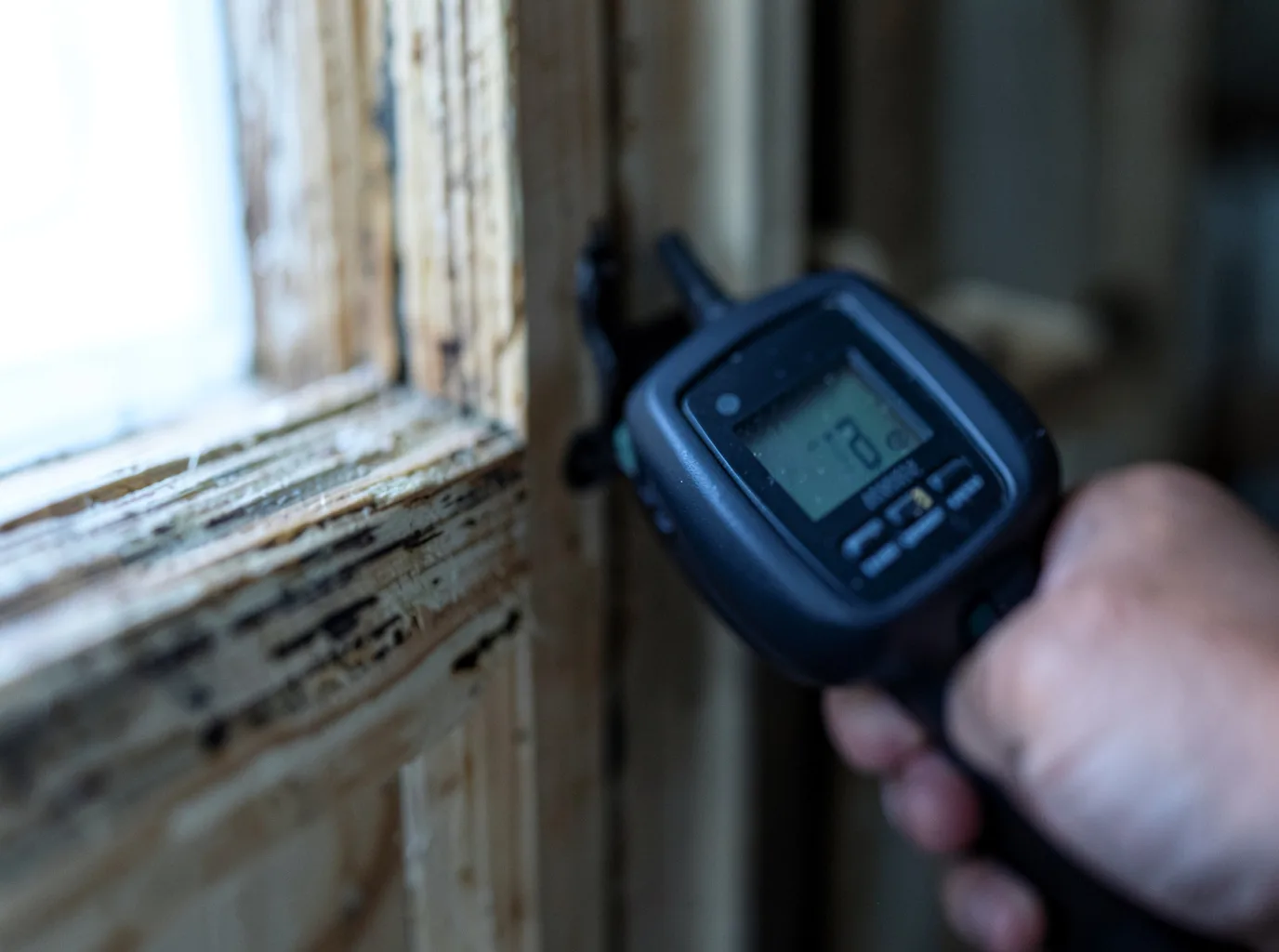 Moisture Inspection And Documentation in Teller, AK